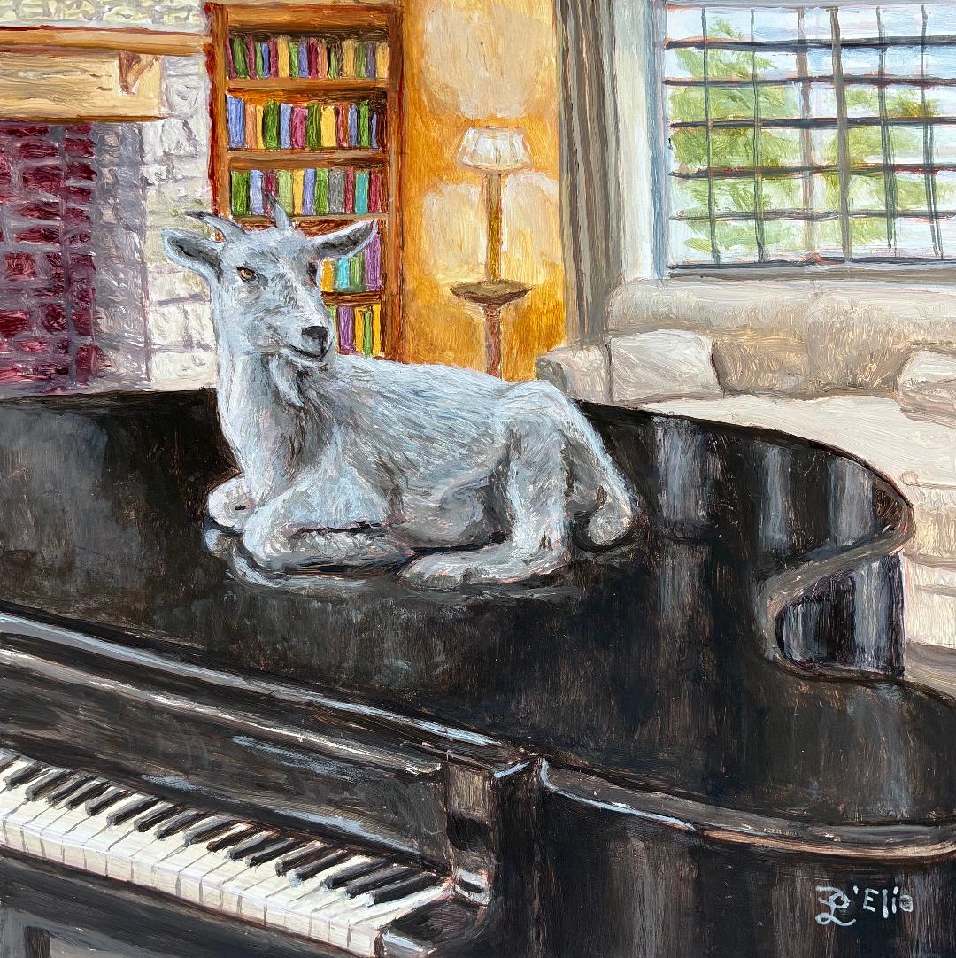 goat on grand piano